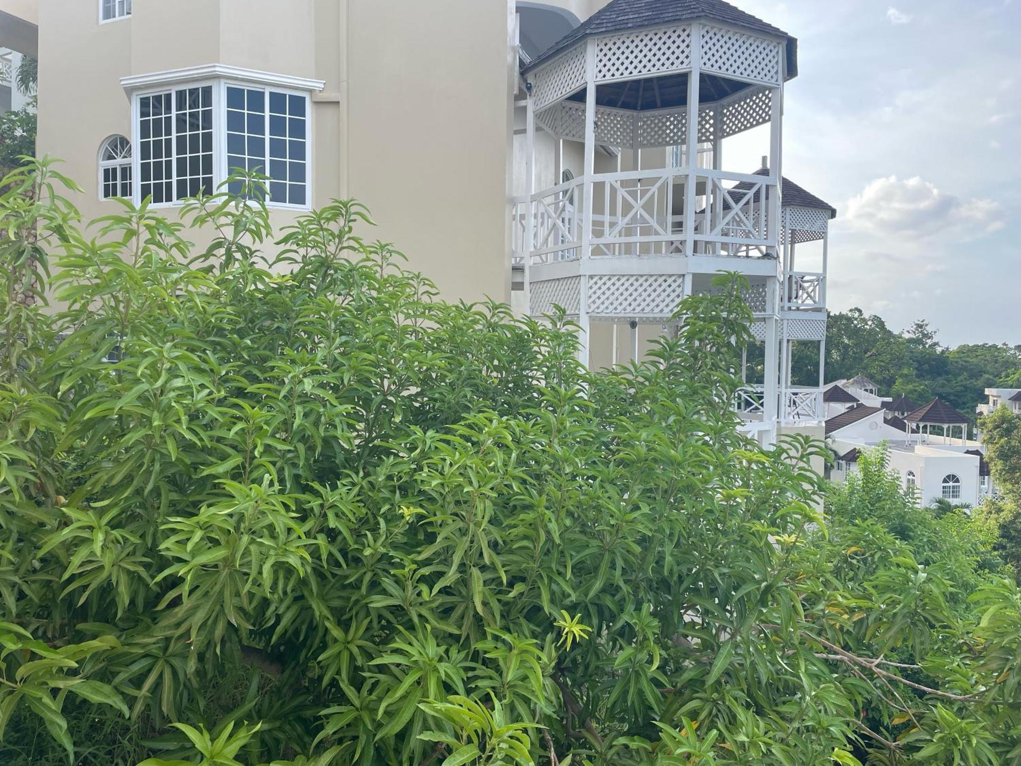 Oceanbreeze Jamaica Penthouse, 7-Minute Walk To Beach Ocho Rios Zewnętrze zdjęcie