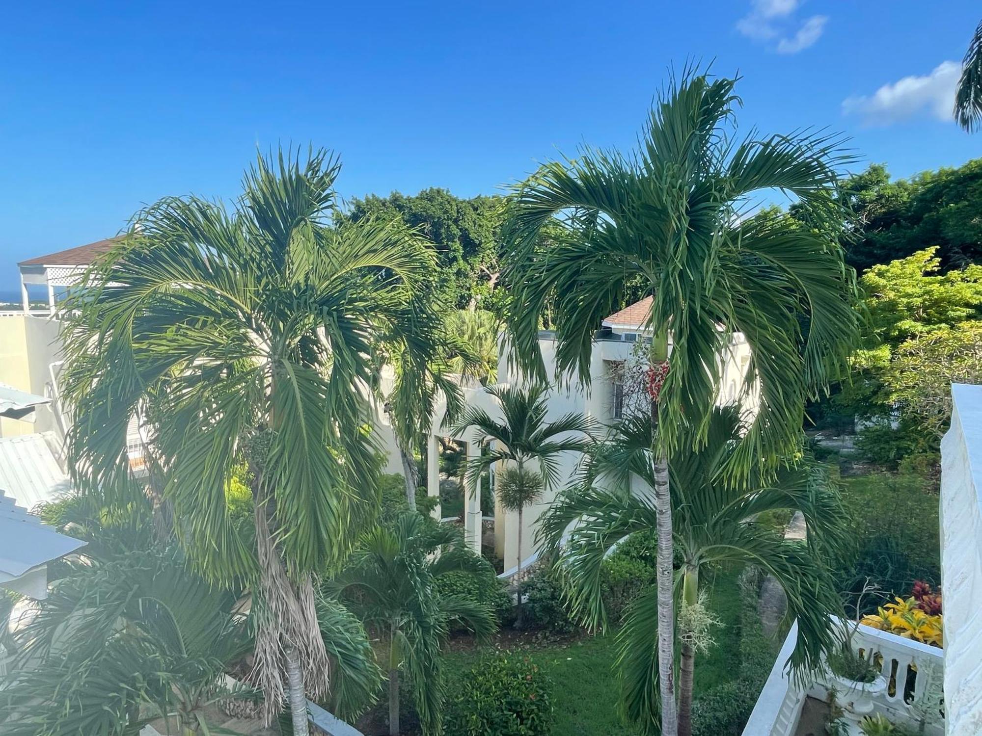 Oceanbreeze Jamaica Penthouse, 7-Minute Walk To Beach Ocho Rios Zewnętrze zdjęcie